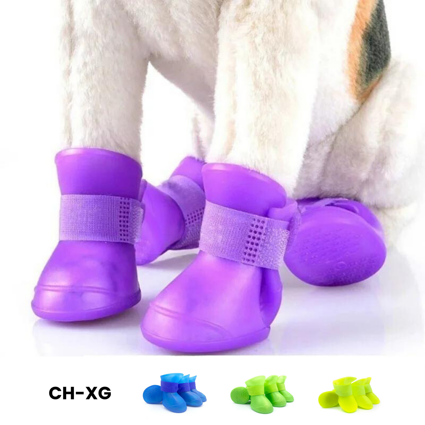 Botas de lluvia para perro