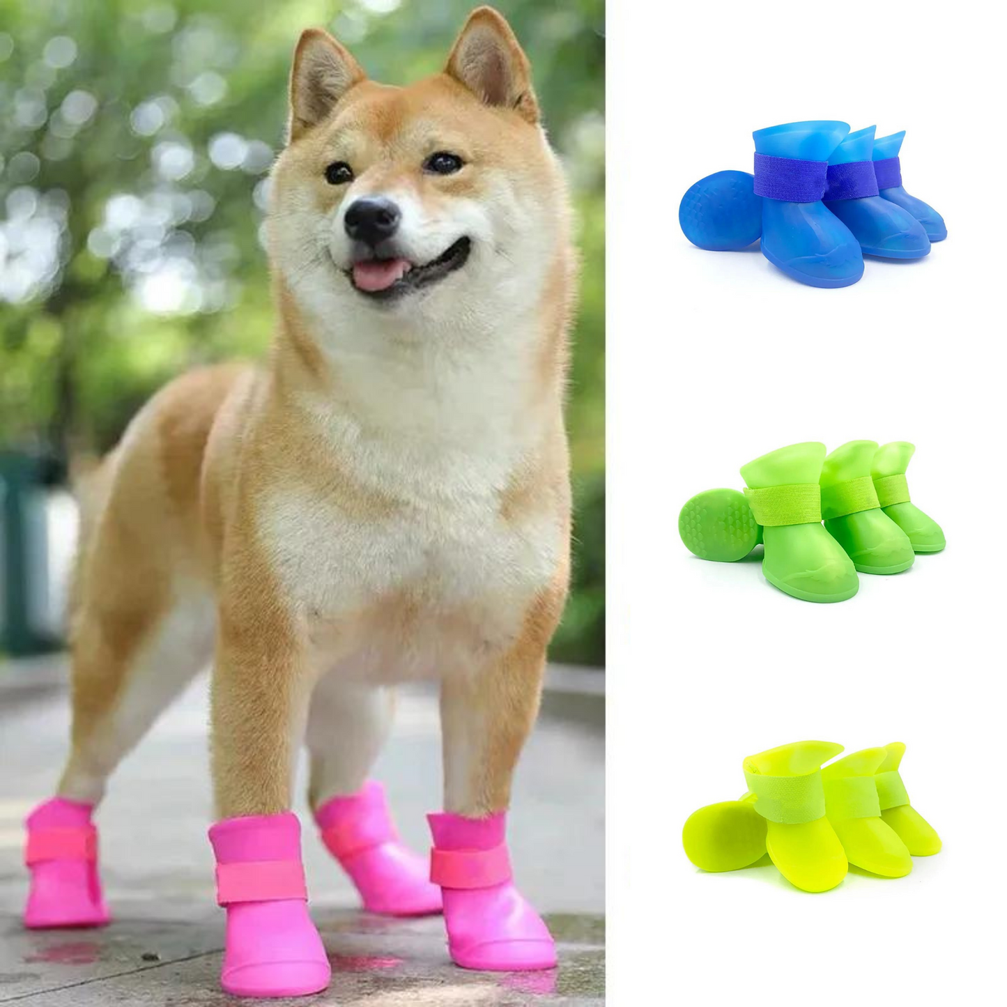 Botas de lluvia para perro