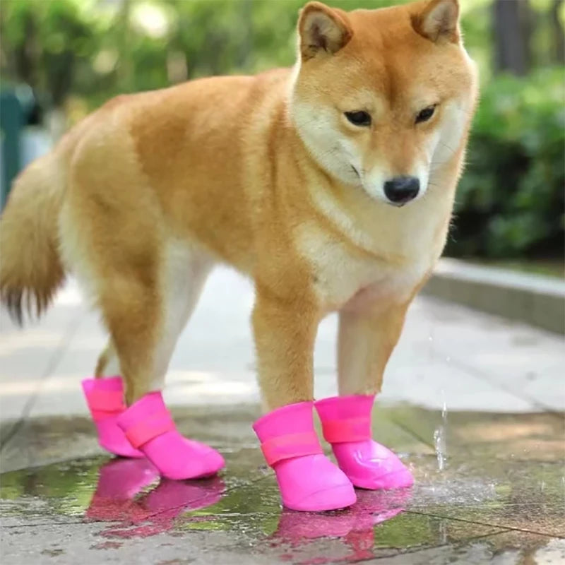 Botas de lluvia para perro