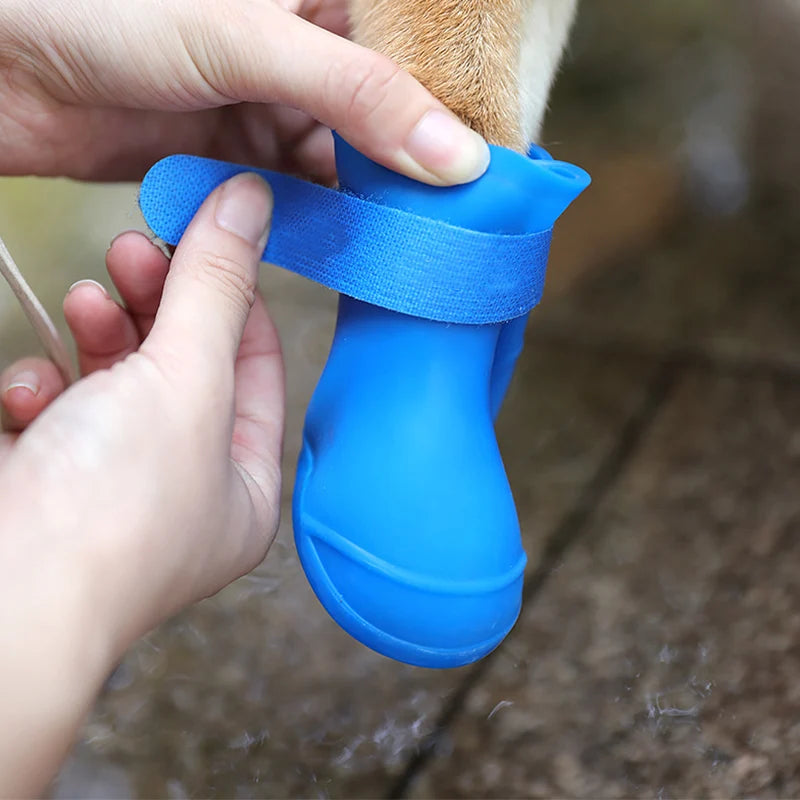 Botas de lluvia para perro